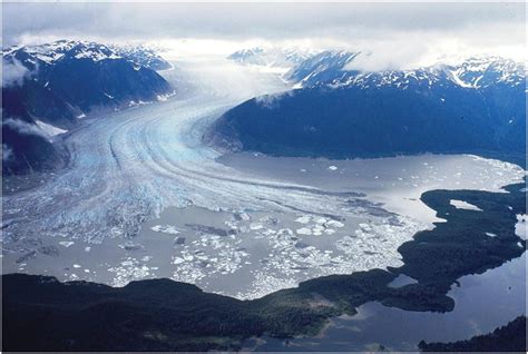 The Great Glacier .